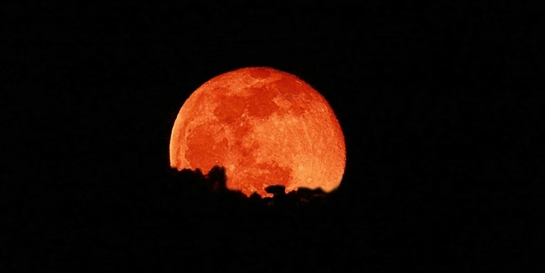 Chandra Grahan 2025 : भारत में आज कितने बजे से शुरू होगा चंद्र ग्रहण? इसे देखना चाहिए या नहीं, यहां आपको मिलेगी ग्रहण से जुड़ी हर एक जानकारी