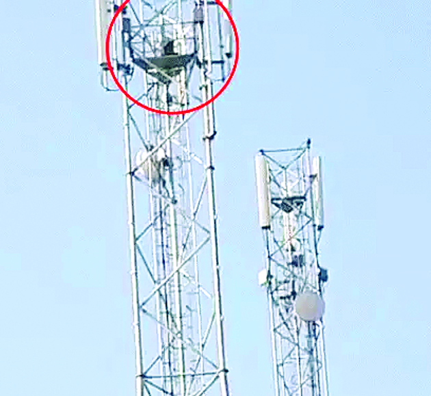 बयाना में लव मैरिज को लेकर युवती का हाईवॉल्टेज ड्रामा