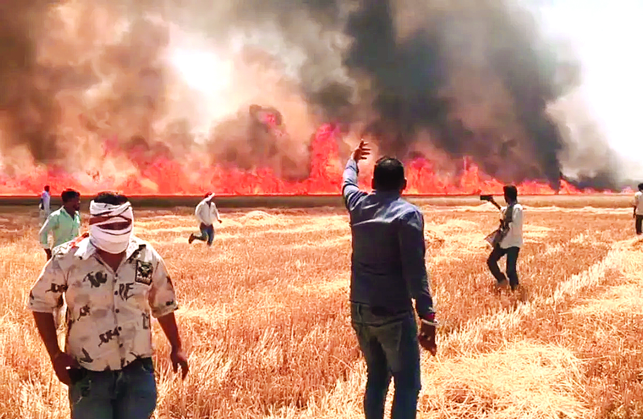 कोटा: करीब 200 बीघा खड़ी गेहूं की फसल में लगी भीषण आग