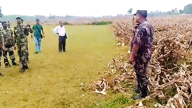 भारत-बांग्लादेश में तारबंदी करने से रोकने पर फैला तनाव, BSF और बॉर्डर गार्ड बांग्लादेश आमने-सामने